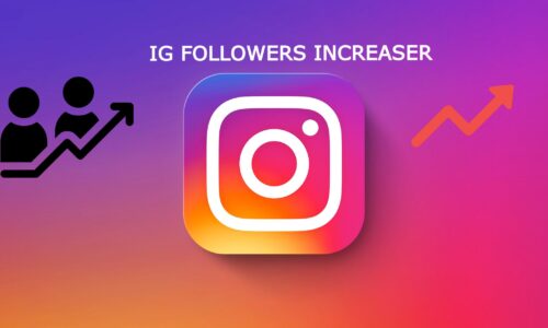 How can you grow a new Instagram audience quickly and efficiently