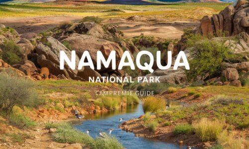 Namaqua National Park: A Comprehensive Guide