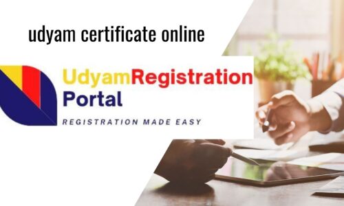 How to Check Your Udyam Registration Status: A Comprehensive Guide