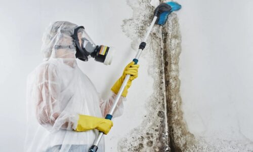 How Professional Odor Removal Services Improve Indoor Air Quality?