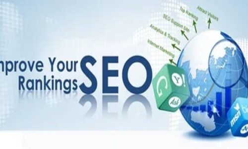 Digital Marketing Insights: Interviews with SEO Expert in Pakistan