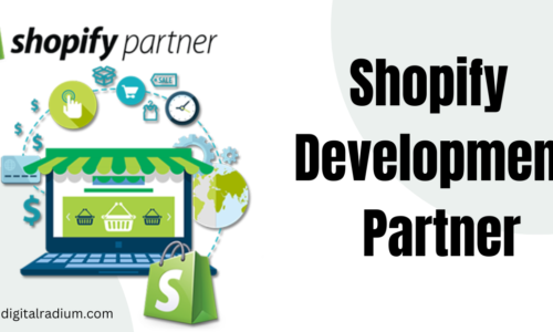 SEO Strategies for Shopify Stores: A Partner’s Guide