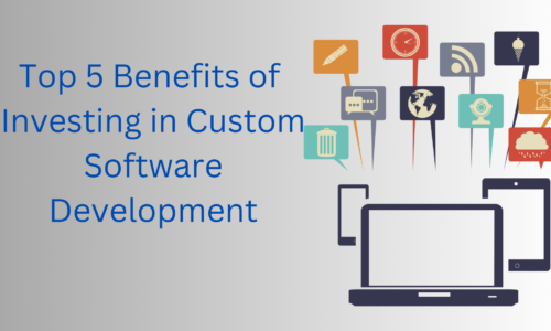 Top 5 Benefits of Investing in Custom Software Development