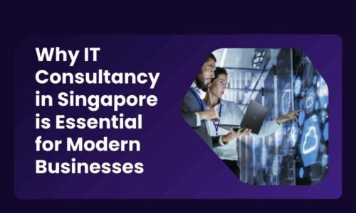 Why IT Consultancy in Singapore is Essential for Modern Businesses