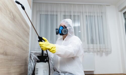 Finding Pest Exterminator Near and Fumigation control services