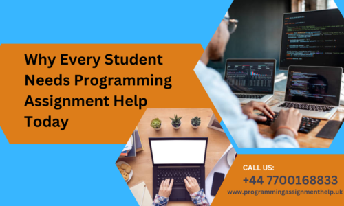 Why Every Student Needs Programming Assignment Help Today