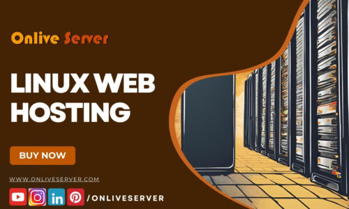 Best Linux Web Hosting for High-Traffic Websites with Onlive Server