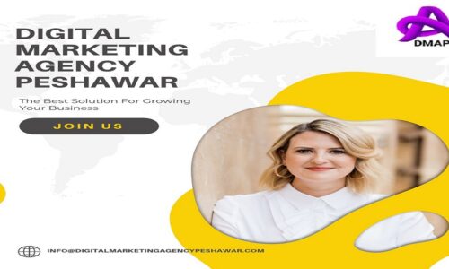 Peshawar’s Experience with Digital Marketing: Changing Companies in the Digital Era