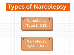 Narcolepsy Types: Understanding Type 1 and Type 2 Differences