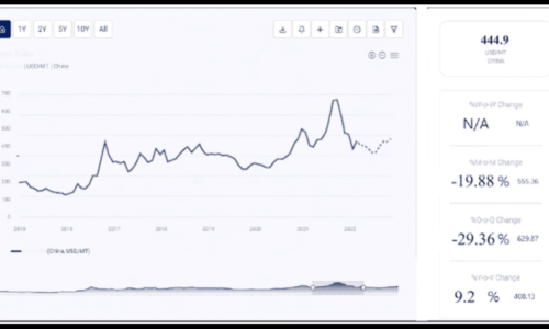 Olive Oil Price Chart: Analysis and Trends for 2024