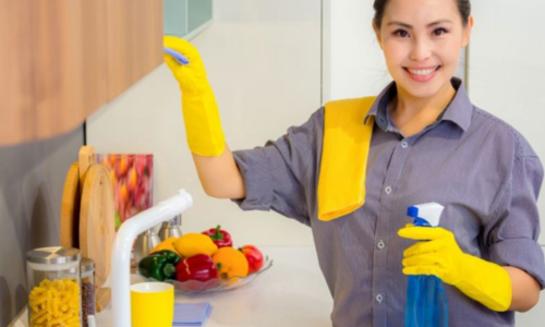 The Importance of Professional Commercial Cleaning Services in Boston