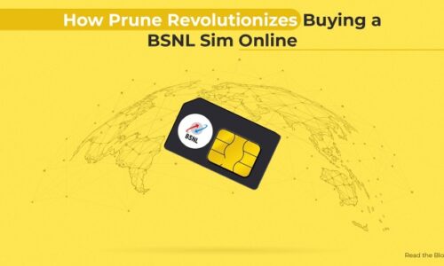 How Prune Revolutionizes Buying a BSNL SIM Online