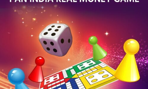 Unleashing the Power of Gaming: Inside Ludo and Satta Matka Game Development Companies